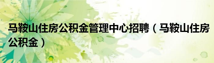 马鞍山住房公积金管理中心招聘（马鞍山住房公积金）