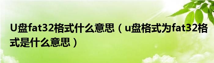 U盘fat32格式什么意思（u盘格式为fat32格式是什么意思）