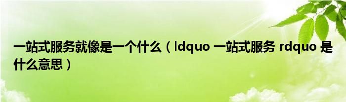 一站式服务就像是一个什么（ldquo 一站式服务 rdquo 是什么意思）