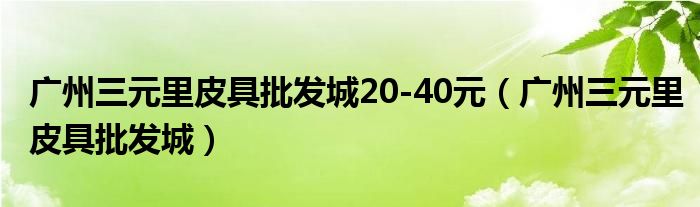 广州三元里皮具批发城20-40元（广州三元里皮具批发城）