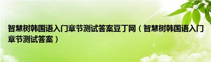 智慧树韩国语入门章节测试答案豆丁网（智慧树韩国语入门章节测试答案）