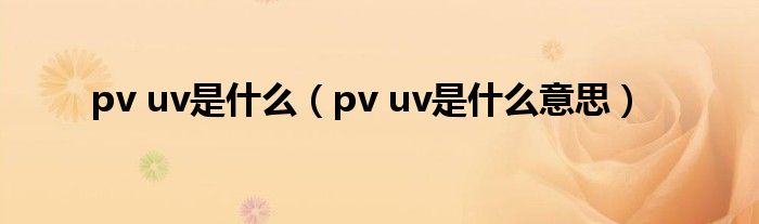 pv uv是什么（pv uv是什么意思）