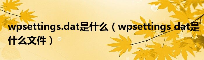 wpsettings.dat是什么（wpsettings dat是什么文件）