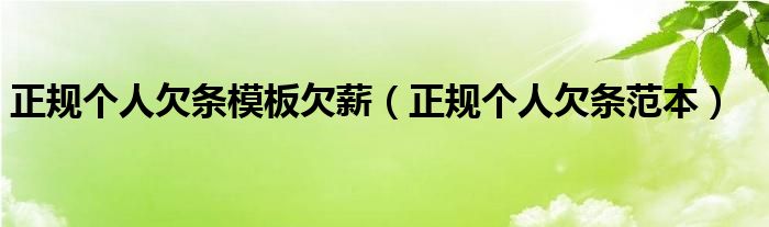 正规个人欠条模板欠薪（正规个人欠条范本）