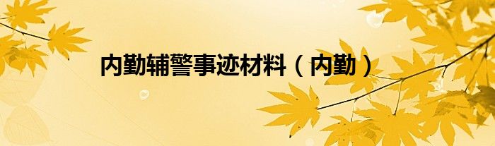 内勤辅警事迹材料（内勤）