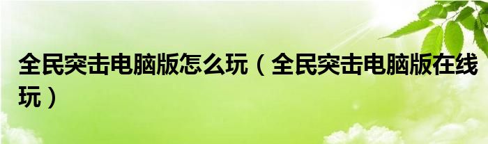 全民突击电脑版怎么玩（全民突击电脑版在线玩）