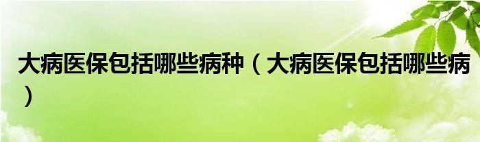 大病医保包括哪些病种（大病医保包括哪些病）