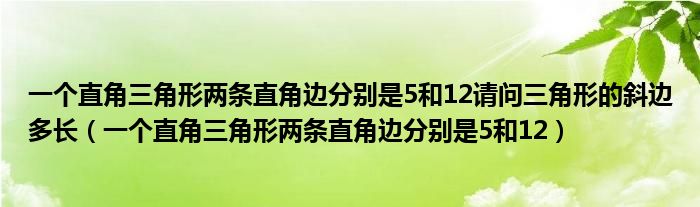 一个直角三角形两条直角边分别是5和12请问三角形的斜边多长（一个直角三角形两条直角边分别是5和12）