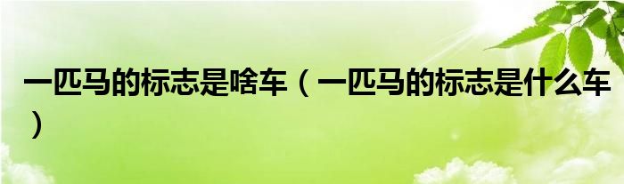 一匹马的标志是啥车（一匹马的标志是什么车）