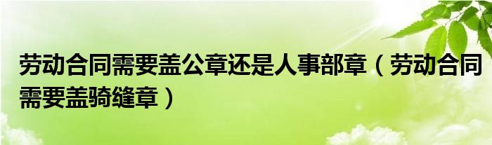 劳动合同需要盖公章还是人事部章（劳动合同需要盖骑缝章）