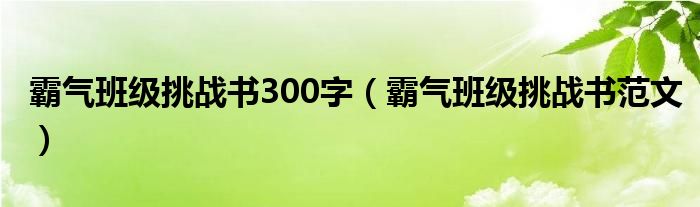 霸气班级挑战书300字（霸气班级挑战书范文）