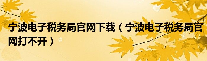 宁波电子税务局官网下载（宁波电子税务局官网打不开）