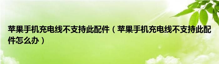 苹果手机充电线不支持此配件（苹果手机充电线不支持此配件怎么办）