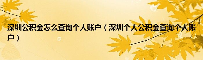 深圳公积金怎么查询个人账户（深圳个人公积金查询个人账户）