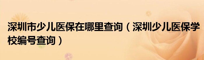 深圳市少儿医保在哪里查询（深圳少儿医保学校编号查询）