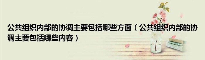 公共组织内部的协调主要包括哪些方面（公共组织内部的协调主要包括哪些内容）