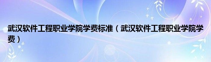 武汉软件工程职业学院学费标准（武汉软件工程职业学院学费）