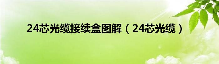 24芯光缆接续盒图解（24芯光缆）