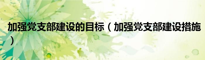 加强党支部建设的目标（加强党支部建设措施）