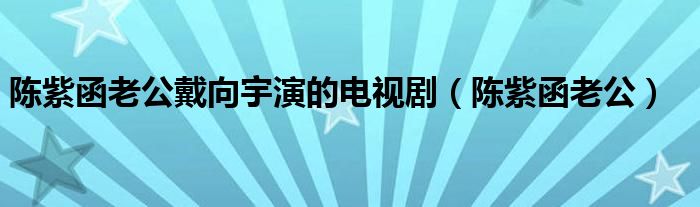 陈紫函老公戴向宇演的电视剧（陈紫函老公）