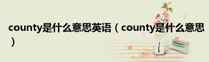 county是什么意思英语（county是什么意思）