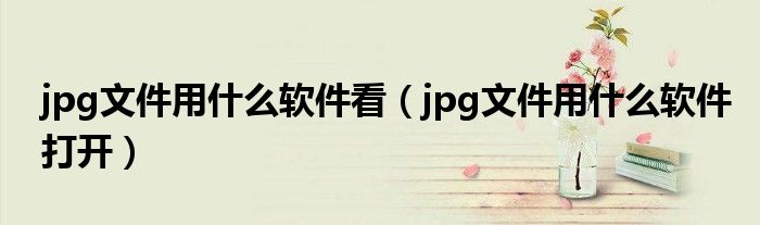 jpg文件用什么软件看（jpg文件用什么软件打开）