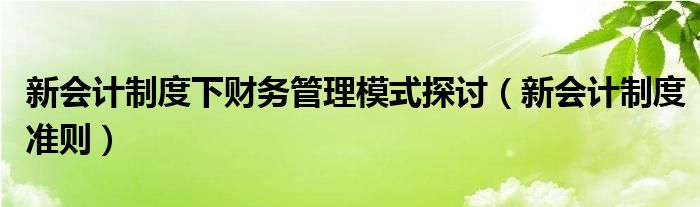 新会计制度下财务管理模式探讨（新会计制度准则）