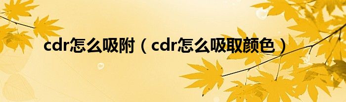 cdr怎么吸附（cdr怎么吸取颜色）