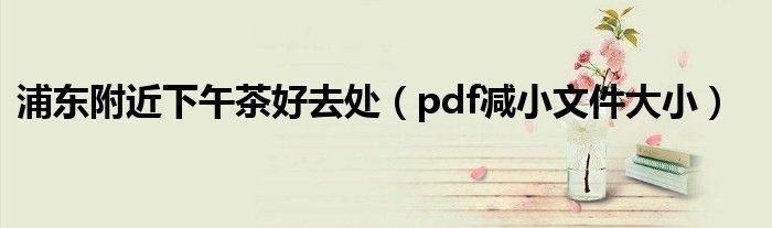 浦东附近下午茶好去处（pdf减小文件大小）