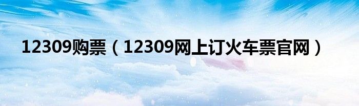 12309购票（12309网上订火车票官网）