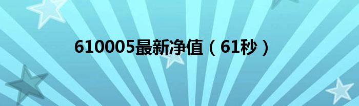 610005最新净值（61秒）