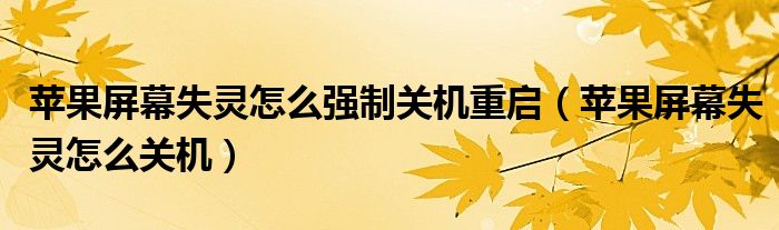 苹果屏幕失灵怎么强制关机重启（苹果屏幕失灵怎么关机）