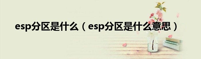 esp分区是什么（esp分区是什么意思）