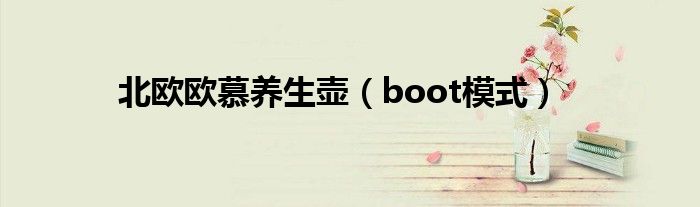 北欧欧慕养生壶（boot模式）