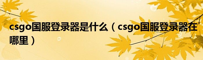 csgo国服登录器是什么（csgo国服登录器在哪里）