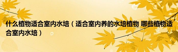 什么植物适合室内水培（适合室内养的水培植物 哪些植物适合室内水培）