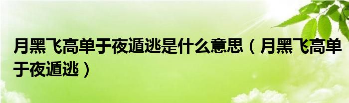 月黑飞高单于夜遁逃是什么意思（月黑飞高单于夜遁逃）