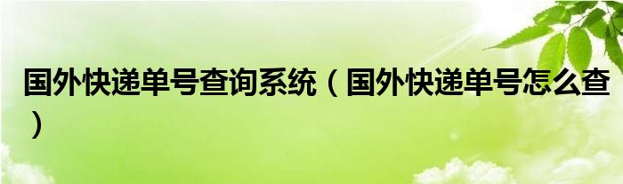 国外快递单号查询系统（国外快递单号怎么查）