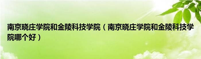 南京晓庄学院和金陵科技学院（南京晓庄学院和金陵科技学院哪个好）