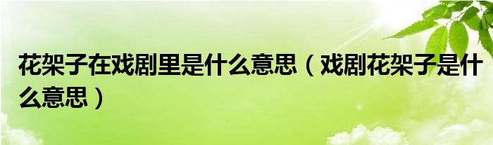 花架子在戏剧里是什么意思（戏剧花架子是什么意思）