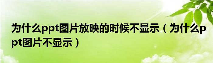 为什么ppt图片放映的时候不显示（为什么ppt图片不显示）