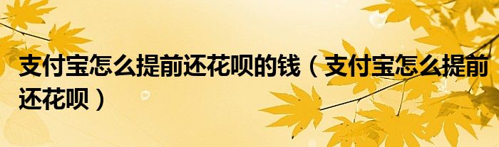 支付宝怎么提前还花呗的钱（支付宝怎么提前还花呗）