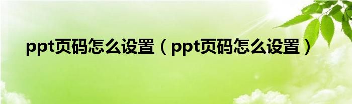 ppt页码怎么设置（ppt页码怎么设置）