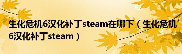 生化危机6汉化补丁steam在哪下（生化危机6汉化补丁steam）