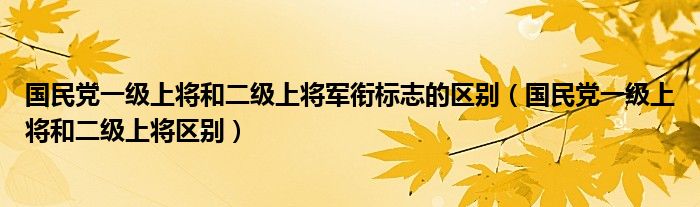 国民党一级上将和二级上将军衔标志的区别（国民党一级上将和二级上将区别）