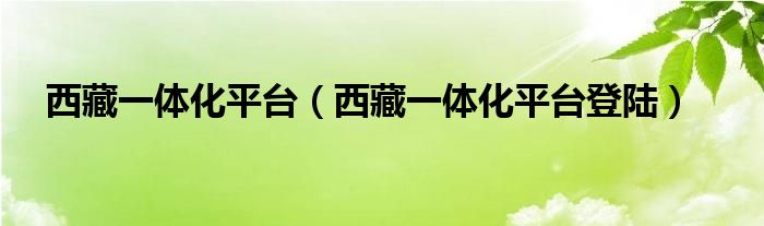 西藏一体化平台（西藏一体化平台登陆）