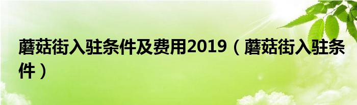 蘑菇街入驻条件及费用2019（蘑菇街入驻条件）