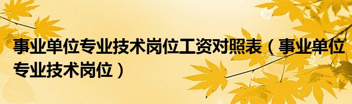 事业单位专业技术岗位工资对照表（事业单位专业技术岗位）