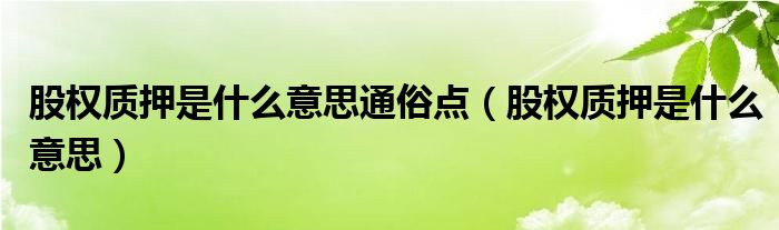 股权质押是什么意思通俗点（股权质押是什么意思）