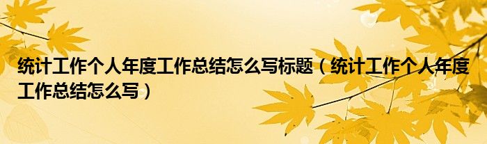 统计工作个人年度工作总结怎么写标题（统计工作个人年度工作总结怎么写）